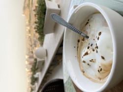 آفوگاتو
